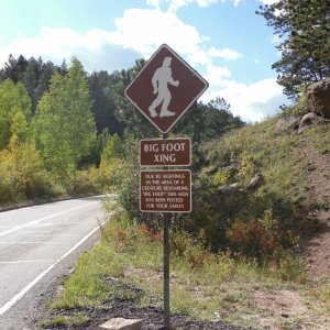 Bigfoot Crossing Sign Going Up Pikes Peak Hwy.