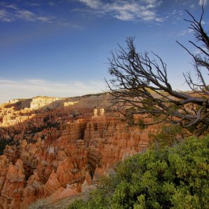 Bryce Canyon Evening Hike