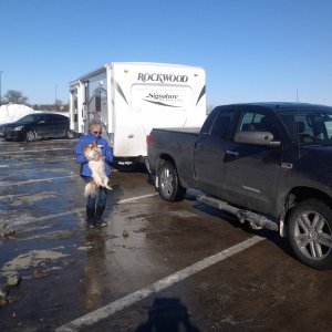 Fleeing Northern Illinois Snow Storms