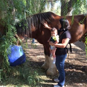 Casa_De_Fruta_RV_park_-_Medieval_Renaissance_Fair_4_