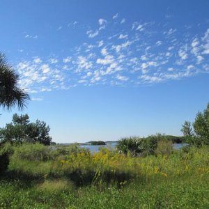 Cedar_Key1