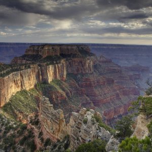 Cape Royal Evening, North Rim, Grand Canyon NP