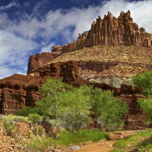 Capitol Reef NP