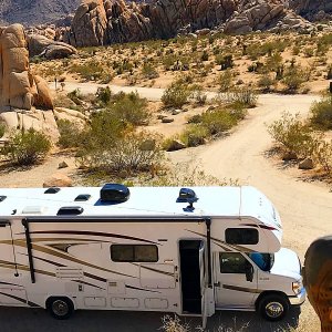 Chillin' at Joshua Tree