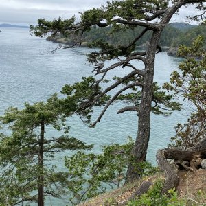 Deception Pass Washington