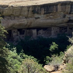 Mesa Verde Cliff Dwellings