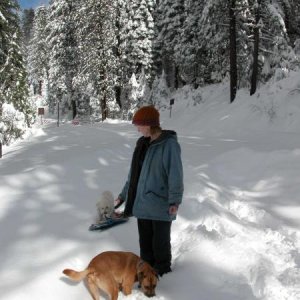 Sledding on Glaicer Point Road