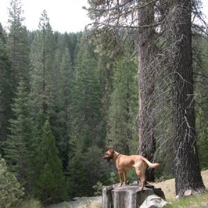 Jake searching for the "Possible Showers" later Sunday morning.