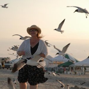 Sea Gulls