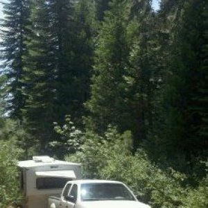 Boondocking El Dorado Forest, Among the Pines.