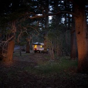 Toiyabe Natl. Forest, July 2014