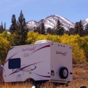 Aspens, Eastern Sierra, Sept. 2013