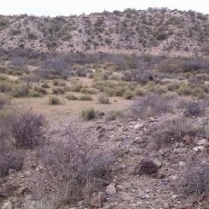 AZ Placer Claim near Congress, AZ