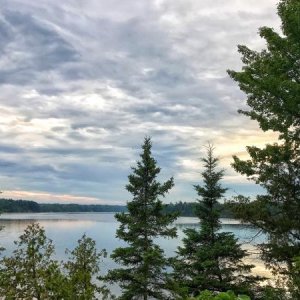 Overlooking the Au Sable River at Alcona Campground