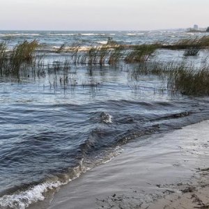 Waves on the Huron Shore