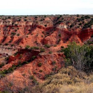 Caprock Canyons State Park December 21, 2017