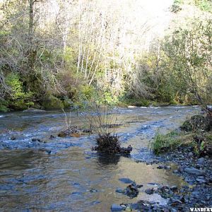 The River at Rocky Bend