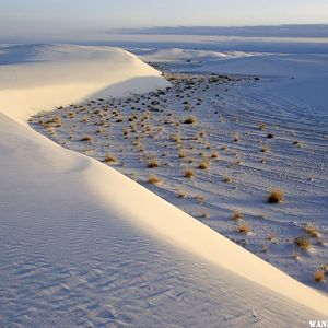 White Sands National Monument