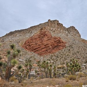 Cedar Pocket Road - Virgin River Gorge