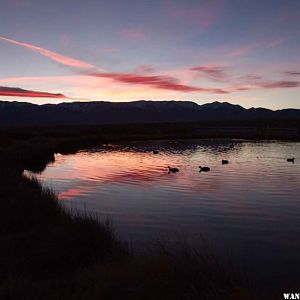 Fish Lake Valley