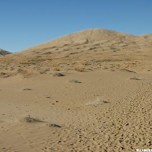 Kelso Dunes Trail