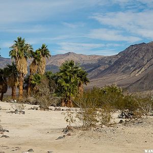 Middle Warm Springs