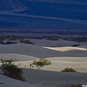 Saline Dunes