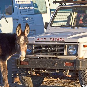 NPS payscale only attracts true desert folk