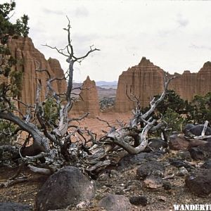 Capitol reef 46.jpg