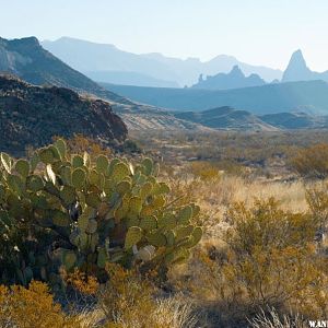 The Mule Ears