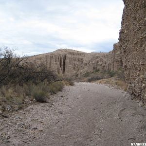 walking a creek bed