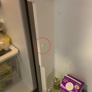 Fridge Door