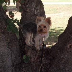 2012 09 16 12 04 45 94

My Golfing Buddy