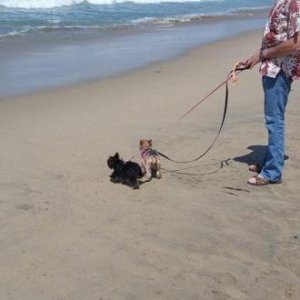 The girls at the Beach