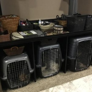 Our dog condos