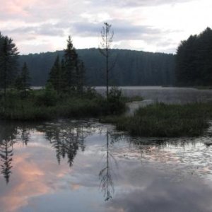 879 Pog Lake Algonquin Park Ont.