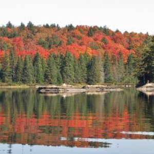 IMG 4437 Lake of Two Rivers Algonquin Park Ont