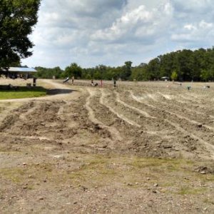 More field at Crater