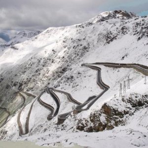 stilvio pass