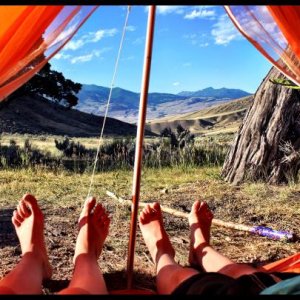 Yellowstone - Mammoth Campground