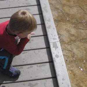 Corbin checking out the bacterial mats