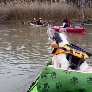 Kayaking