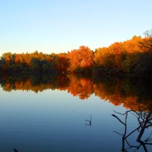 Fall Mirror Image - Lake Evergreen, Hudson, IL