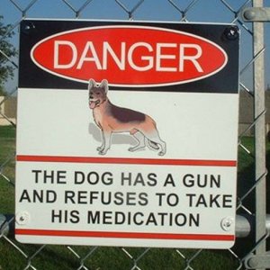 the dog has a gun