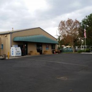 Store, laundry, showers are in this building.