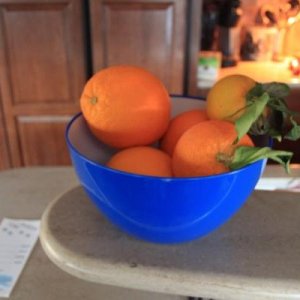 Fresh picked oranges from Orange Grove RV Park in Bakersfield, CA