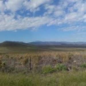 big bend panorama