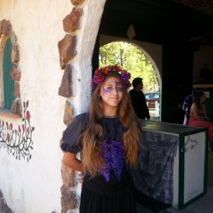 Sherwood Forest Faire 2015