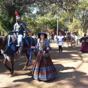 Sherwood Forest FAire 2015