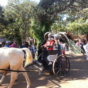 Sherwood Forest FAire 2015